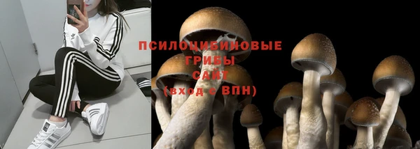 гидропоника Богданович