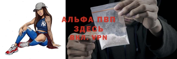 тгк Богородицк