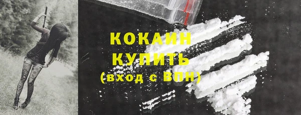 тгк Богородицк