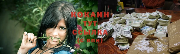 тгк Богородицк