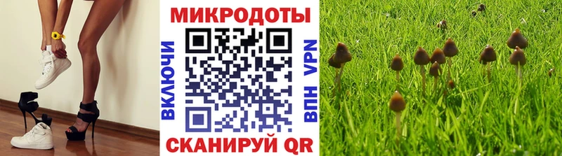 Галлюциногенные грибы GOLDEN TEACHER  Купить закладки  Верхняя Тура 